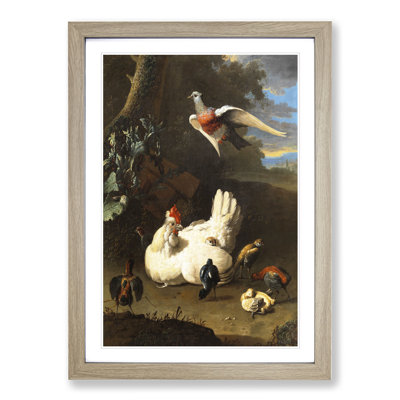 Poultry and Pigeon by Melchior D'Hondecoeter - Picture Frame Painting