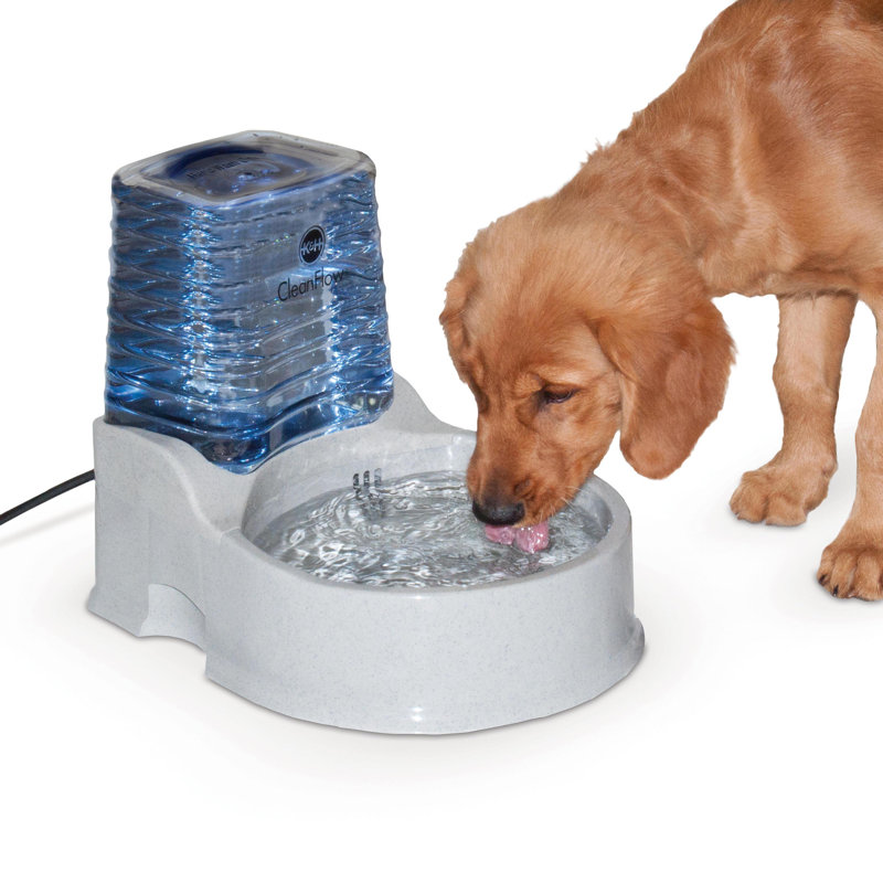 CleanFlow With Reservoir Pet Fountain, Medium (12.5")