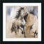 « Frison Horse », reproduction d'art encadrée