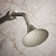 Forté 1.75 GPM Single-Function Showerhead with Katalyst(R) Air-Induction Technology