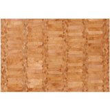 Art Hide Cowhide Area Rug in Orange