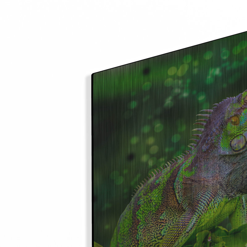 «Green Iguana» par Don Spears, H 16 po x l 24 po