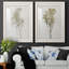 «Farmhouse Pressed Flower I», ensemble de 2 impressions-1472801473-1472801472