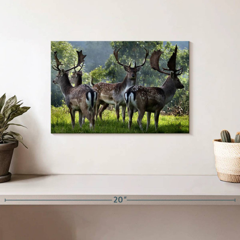 Brampt Deer Alliance, 8" H x 12" W