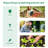 Outsunny Walk-In Tunnel Greenhouse With Zippered Mesh Door And 8 Mesh Windows-114766838-114766836