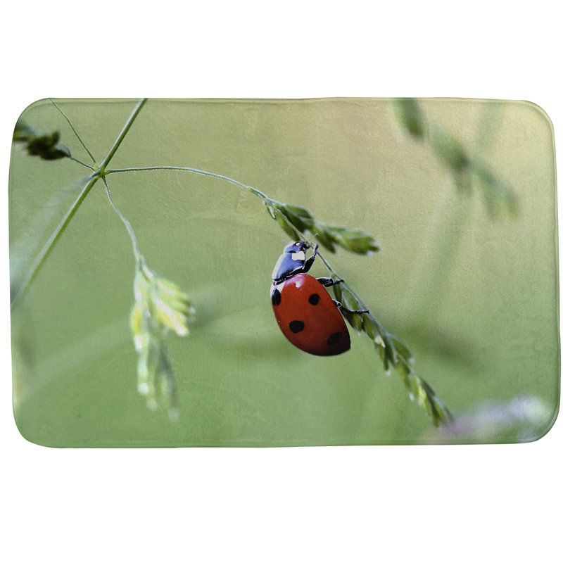 Tapis pour salle de bain Kalama, l 17 po x L 24 po
