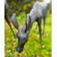 Animals Garden Statue-96319018