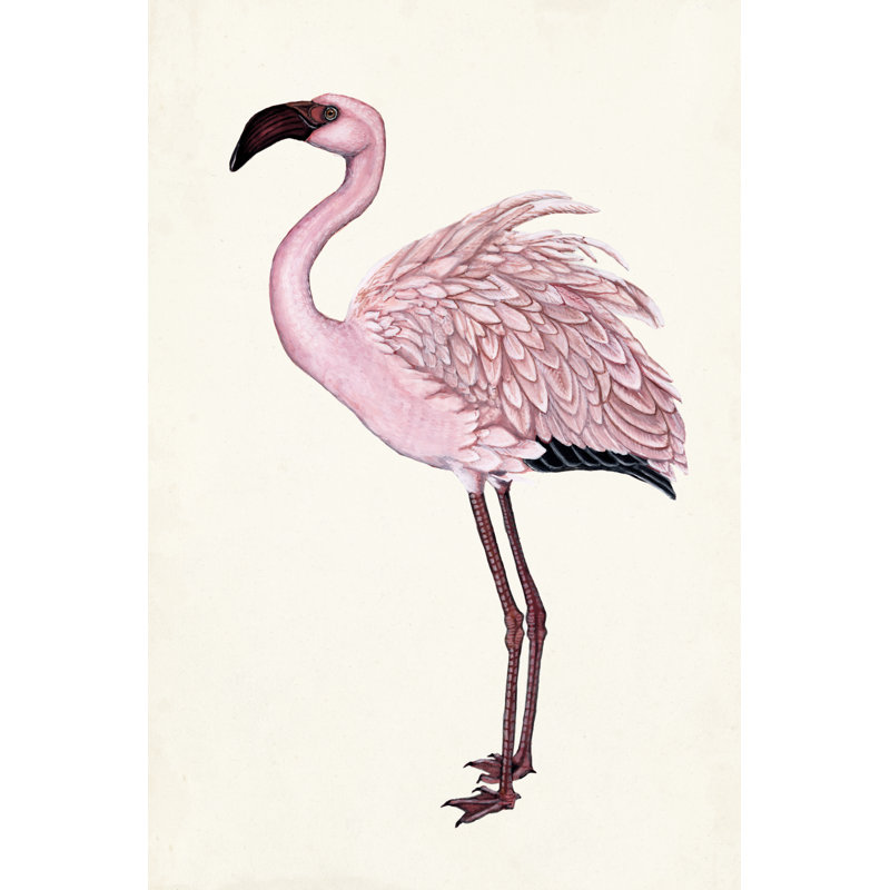 Striking Flamingo II by Naomi McCavitt - Wrapped Canvas Painting, 46cm H x 30cm W