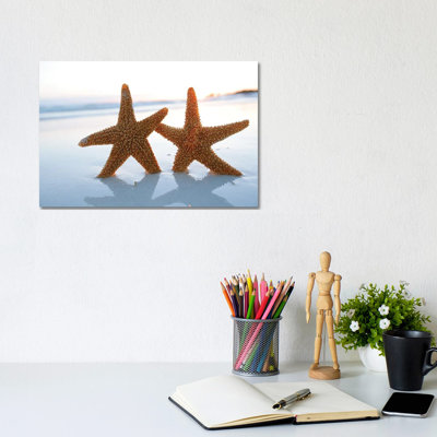 Sea Star Starfish Silhouette on Sunrise Beach, Shallow Dof 1 Piece Wrapped Canvas Wall Art