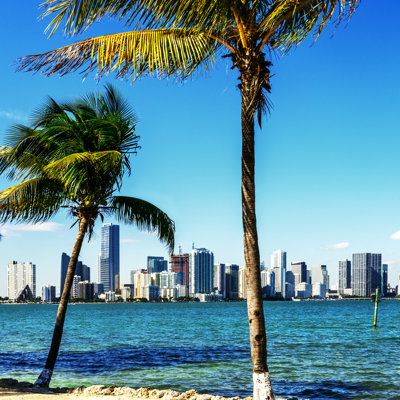 Evelien Miami par Ventdusud