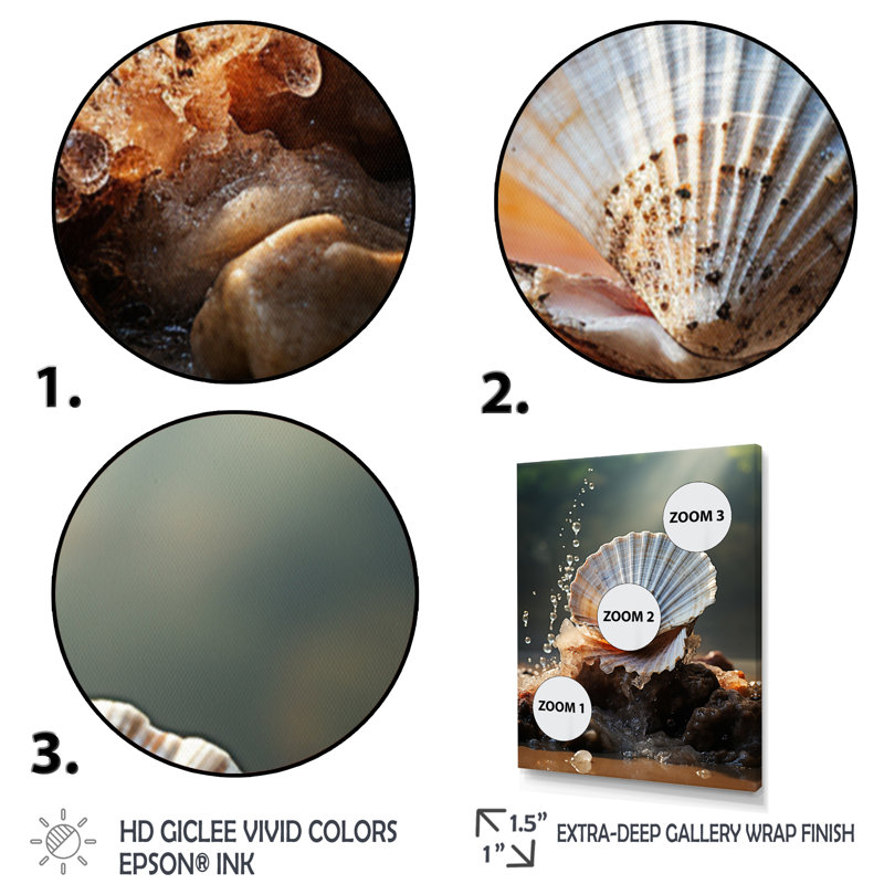 White Seashell Close Up II - Animals Canvas Art Print, H 20 po x l 12 po x P 1 po, Toile tendue
