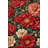 Pink Rose Patterned Machine Washable Rug-2019005889