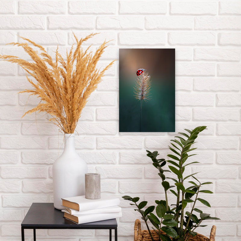 Red Ladybug Perched Delicate Peaceful Serene Ladybug Nature Plant Wall Art Print 1 Piece Wrapped Canvas Wall Art