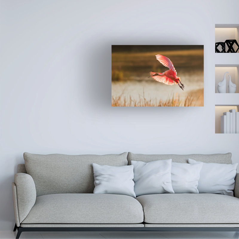 Art sur toile «Spoonbill» bolologien Aijing H., H 12 po x l 19 po