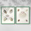 Pastel Knorr Shells III - reproduction encadrée de qualité supérieure - prête à être accrochée - aucun clou requis - aucun clou requis-2033294254-2033294252