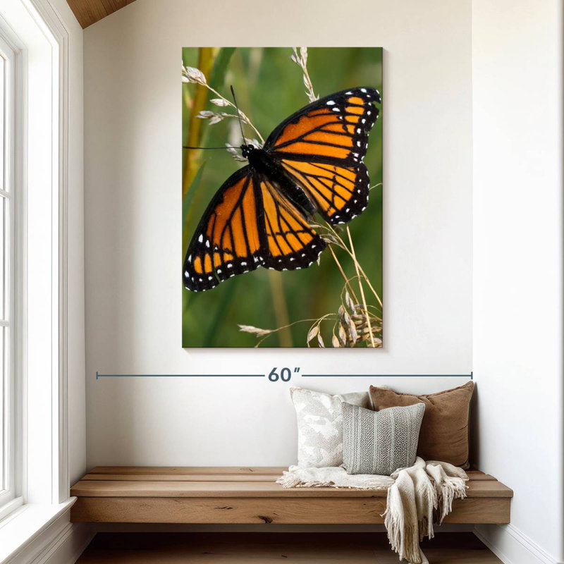 Brampt Monarch Butterfly Up Close, 48" H x 32" W