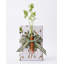Green Grocer Wrapping Paper