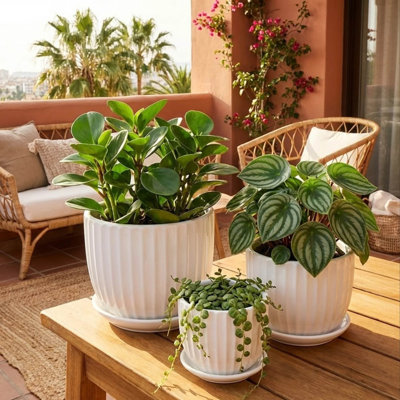 3-Piece White Ceramic Planter Pot Set With Vertical Fluted Design & Matching Saucers