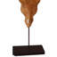Glidewell Figurines & Sculptures