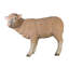 Statue d’agneau debout de taille vie brebis merino