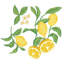 Lemon Wall Decal