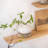 Solid Wood Floating Wall Shelf-452097601