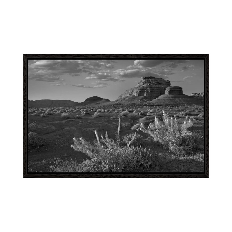 Miner's Candle Flowers, Cathedral Wash, Vermilion Cliffs National Monument, Arizona by Tim Fitzharris - Gallery-Wrapped Canvas Giclée on Canvas
