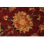 Kaat Wool Oriental Rug