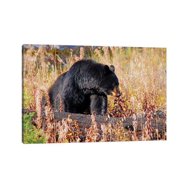 Rosie by Brian Wolf - Wrapped Canvas Print