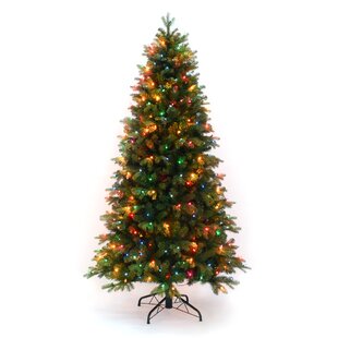 https://assets.wfcdn.com/im/81076108/resize-h310-w310%5Ecompr-r85/1258/125880568/martha-stewart-green-spruce-christmas-tree.jpg