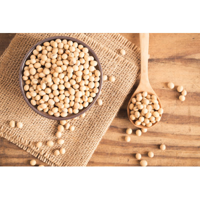 Soybeans - Wrapped Canvas Print