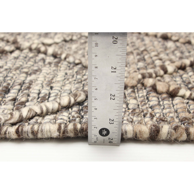 Delayza Performance Hand Braided Wool Rug
