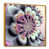 Toile avec cadre flottant or