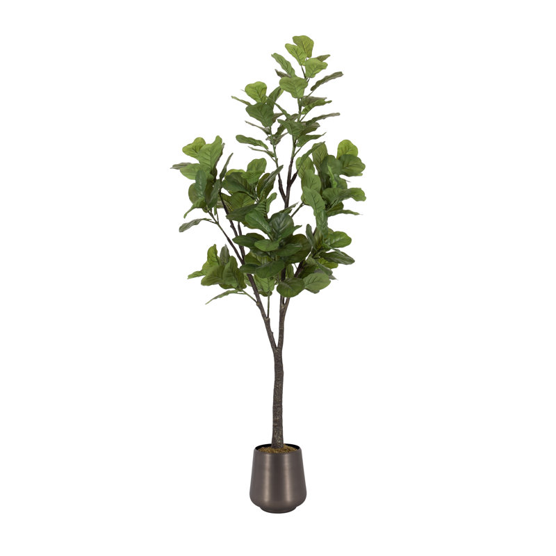 Figuier en figuier avec pot Portell, H 70,87 po x l 19,69 po x P 27,56 po, Argent argent