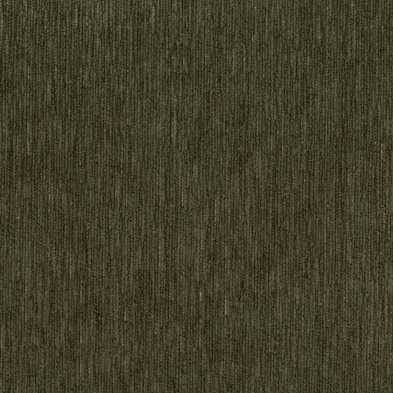 Tissu mortel, Champignon