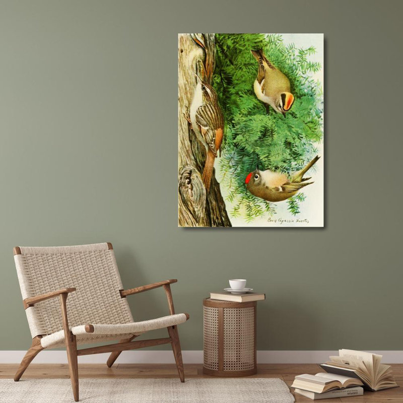 «Goldenlet Crowned Kinglet, Ruby-Crowned Kinglet, Brown Creeper» par Louis Agassiz Fuertes - Art mural sur toile tendue avec châssis