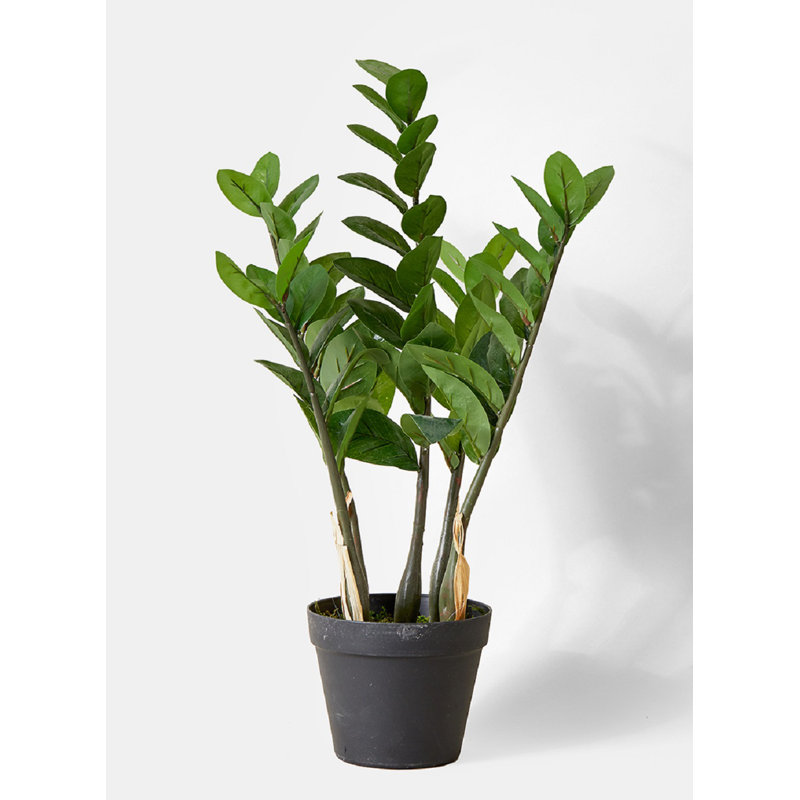 24'' Faux ZZ Plant in Pot