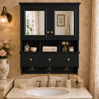 Aurelia 24 in. W x 28 in. H Rectangular MDF Surface Mount Framed Medicine Cabinet with Mirror & Hooks in Black