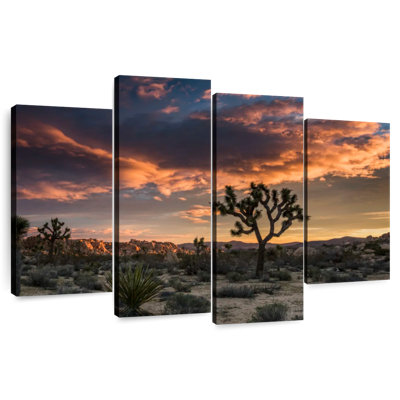 Nicci Dusk In The Desert