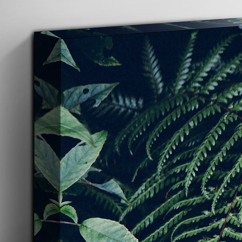 Fern Leafs Photographic - Wrapped Canvas, 50cm H x 76cm W