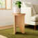 Shayne Solid Wood Abstract End Table