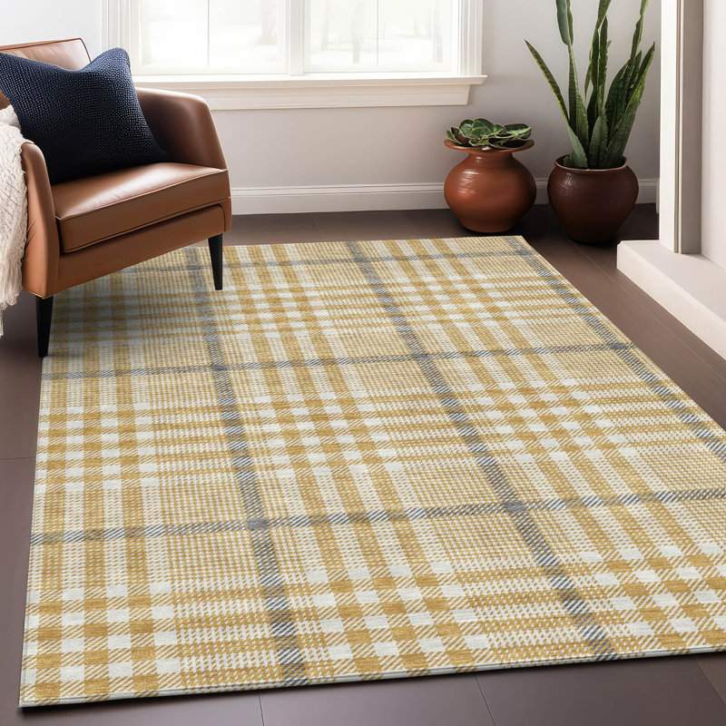 Machine Washable Indoor/Outdoor Chayden ACN1054 Rug, Rectangle 9' x 12'