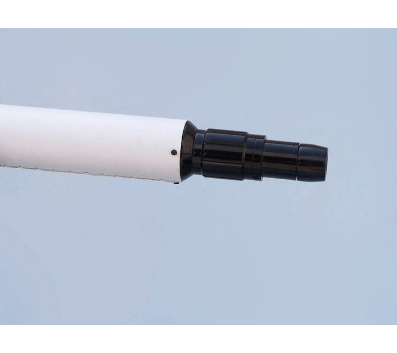 Télescope principal en cuir de plancher Violette, H 65 po x l 23 po x P 3 po, Bronze huilé / cuir blanc