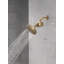 Filtre de douche standard avec filtre Clarifi-103146698