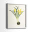 «Flowers of the Seasons VI», reproduction encadrée de qualité supérieure - prête à être accrochée - aucun clou requis - aucun clou requis-1092095832-1092095836