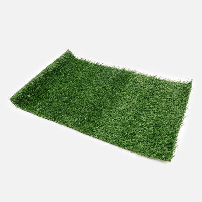 Potty Patch