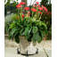 Mari Weather Resistant Planter Feet