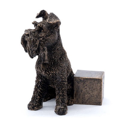 Pieds dans une boîte-cadeau Laymantown Schnauzer