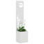Planter Box-116918807-116918809