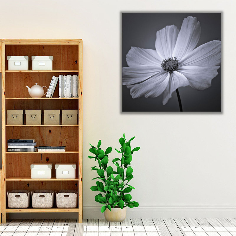 Cosmos Flower 2 - reproduction d'art sur toile, H 12 po x l 12 po